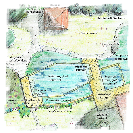 Ein handkolorierter Plan von einem Garten mit Schwimmteich. Der Schwimmteich besteht aus etwa 38m² Nutzzone mit einer Wassertiefe von 2,08m. Außerdem besteht der Schwimmteich aus einer Sumpfzone, einerm Pflanzengraben und einem Seerosenbecken. Dazu geplant sind zwei Stege aus Lärchenholz. 